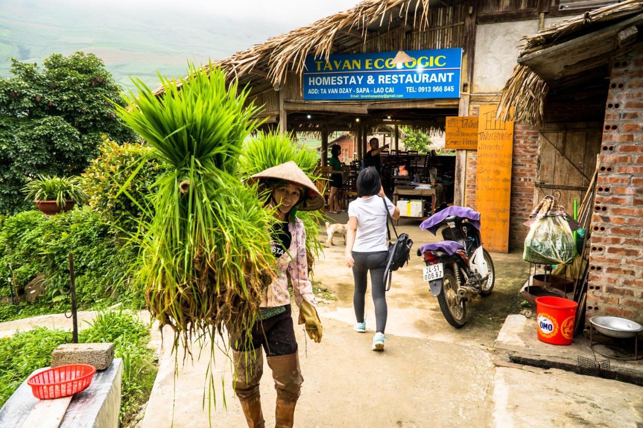Tavan Ecologic Homestay Lao Chai Exterior foto