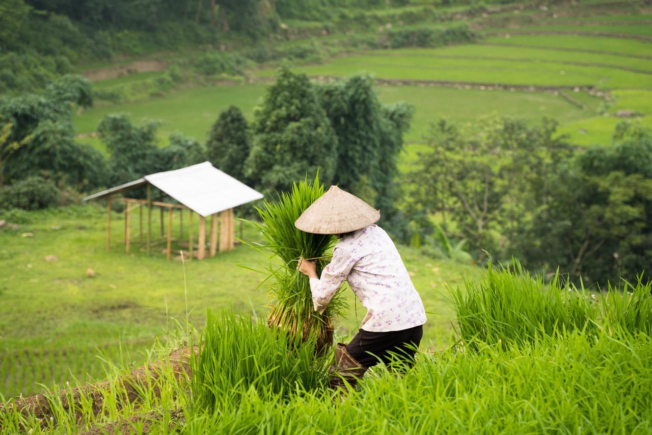 Tavan Ecologic Homestay Lao Chai Exterior foto